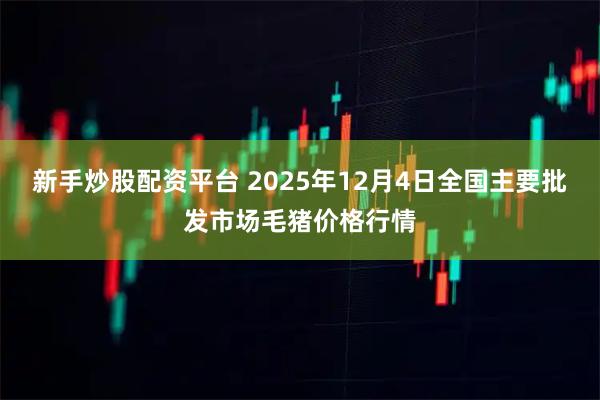 新手炒股配资平台 2025年12月4日全国主要批发市场毛猪价格行情