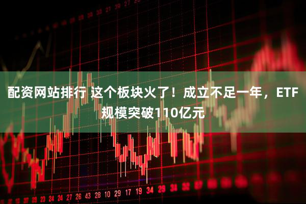 配资网站排行 这个板块火了！成立不足一年，ETF规模突破110亿元