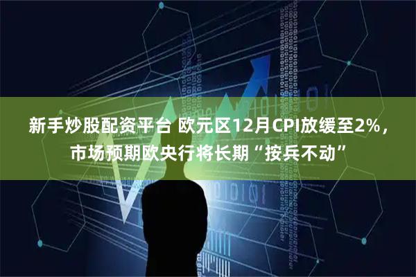 新手炒股配资平台 欧元区12月CPI放缓至2%，市场预期欧央行将长期“按兵不动”