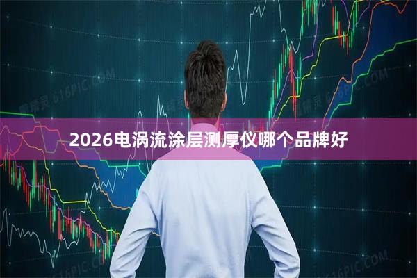 2026电涡流涂层测厚仪哪个品牌好