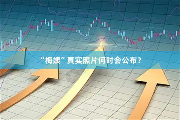 “梅姨”真实照片何时会公布？
