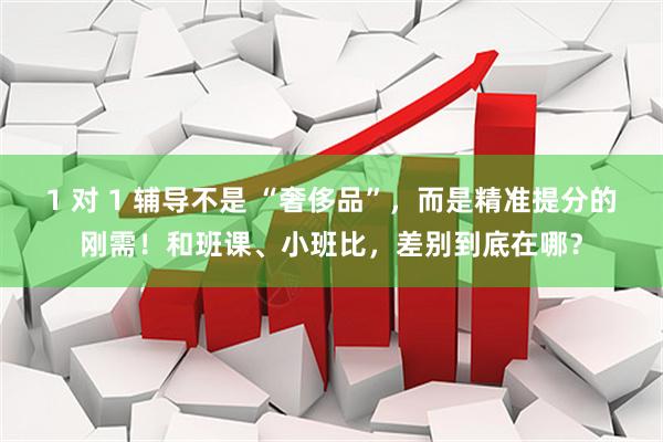 1 对 1 辅导不是 “奢侈品”，而是精准提分的刚需！和班课、小班比，差别到底在哪？