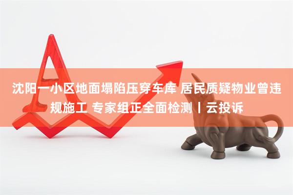 沈阳一小区地面塌陷压穿车库 居民质疑物业曾违规施工 专家组正全面检测丨云投诉