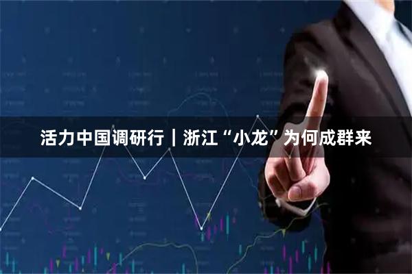 活力中国调研行｜浙江“小龙”为何成群来